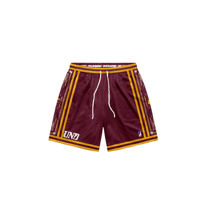 Cavaliers Baggy Mesh Shorts