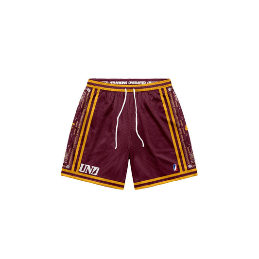 Cavaliers Baggy Mesh Shorts