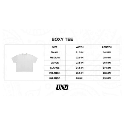 Celtics Boxy Fit Tee