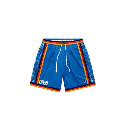 Thunder Baggy Mesh Shorts