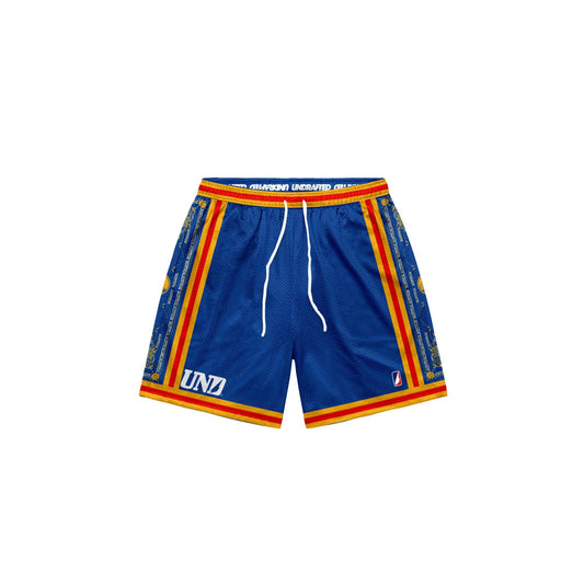 Warriors Baggy Mesh Shorts
